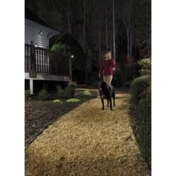 Mr. Beams LED-Außenstrahler Mit Bewegungsmelder MBN352 Braun 2er-Pack 10 Mr. Beams LED-Außenstrahler Mit Bewegungsmelder MBN352 Braun 2er-Pack -Angebote Licht Welt Store 1810431 3437 mbn350 a2