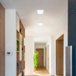 Näve LED-Deckenleuchte Komplex 22,7 Cm -Angebote Licht Welt Store 222880661 3065 AB imgmil 1