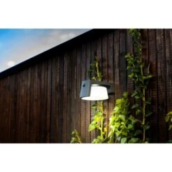 Lutec Solar-LED-Außenleuchte Moon 1-flammig Anthrazit 9,6 Cm X 16 Cm X 21,7 Cm -Angebote Licht Welt Store 276834 3746 AB 03