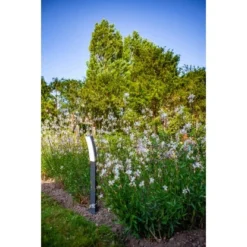 Lutec LED-Wegeleuchte Kira 1-flammig Anthrazit 74 Cm X 12 Cm X 11,4 Cm -Angebote Licht Welt Store 277057 3746 AB 03