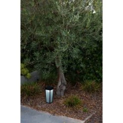 Lutec LED-Solar-Wegeleuchte Dias 1-flammig Mattschwarz 48,4 X 12,2 X 12,2 Cm -Angebote Licht Welt Store 277195 3746 AB 03