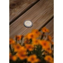 Paulmann LED-Outdoor-Bodeneinbaustrahler Deko Rund 230 V Insektenfreundlich -Angebote Licht Welt Store 4000870947272 2425 AB 06