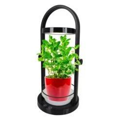 Näve LED-Tischleuchte Pflanzen 53,5 Cm -Angebote Licht Welt Store 4003222878828 3065 CU 05