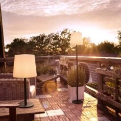 Paul Neuhaus Tischleuchte Falter Anthrazit 28 X 60 Cm -Angebote Licht Welt Store 4012248357064 2426 02