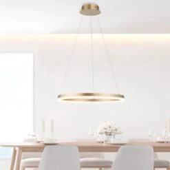 Paul Neuhaus Pendelleuchte Titus 1-flammig Messing Matt Ø 40 Cm -Angebote Licht Welt Store 4012248362853 2426 AB 01