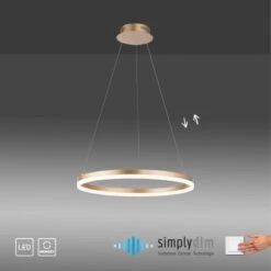 Paul Neuhaus Pendelleuchte Titus 1-flammig Messing Matt Ø 40 Cm -Angebote Licht Welt Store 4012248362853 2426 AI 01