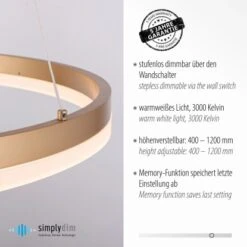 Paul Neuhaus Pendelleuchte Titus 1-flammig Messing Matt Ø 40 Cm -Angebote Licht Welt Store 4012248362853 2426 AI 03