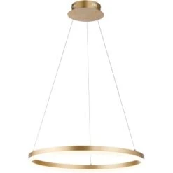 Paul Neuhaus Pendelleuchte Titus 1-flammig Messing Matt Ø 40 Cm -Angebote Licht Welt Store 4012248362853 2426 S 01