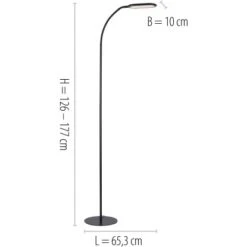 Leuchten Direkt Stehleuchte Kelly Schwarz 63 X 175 Cm -Angebote Licht Welt Store 4043689975074 2426 07