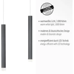 Leuchten Direkt LED-Pendelleuchte Bruno 3-flammig Schwarz 55 X 120 Cm -Angebote Licht Welt Store 4043689979843 2426 03