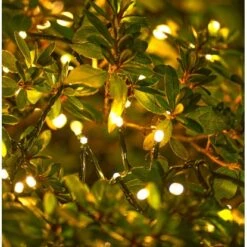 Amare LED-Clusterlichterkette Lichtervorhang Grün -Angebote Licht Welt Store 4251083910168 4655 05