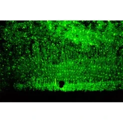 Gartenlaser Außenspot GS-60G Move Grün -Angebote Licht Welt Store 4 4870 Gartenlaser GS60G 4 1