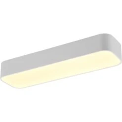 LED-Deckenleuchte Asterion 25W 2500 Lm Weiß Matt