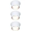 Paulmann LED Einbauleuchten-Set Gil Coin 3StepDim Rd Starr 3x6W Weiß Matt/Eisen Alu