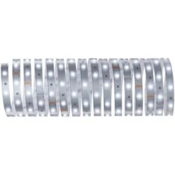 Paulmann MaxLED 250 Strip Unbeschichtet 5 M Tageslichtweiß