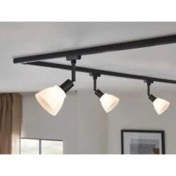 Paulmann URail DecoSystems Spot Schwarz Matt Max. 20W E14 -Angebote Licht Welt Store 574538 2425 04