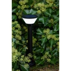 Lutec LED-Außenstehleuchte Karlo 500 Lm 45 X Ø 13 Cm Schwarz -Angebote Licht Welt Store 585355 3746 06