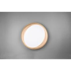 Reality LED-Deckenleuchte Zeta Ø 48 Cm -Angebote Licht Welt Store 849623 2451 3