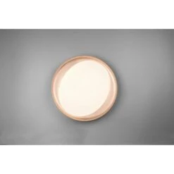 Reality LED-Deckenleuchte Zeta Ø 48 Cm -Angebote Licht Welt Store 849623 2451 4