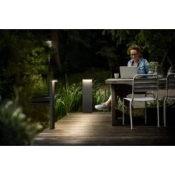 Philips MyGarden LED-Wegeleuchte Bustan Anthrazit 77 Cm 8 Philips MyGarden LED-Wegeleuchte Bustan Anthrazit 77 Cm -Angebote Licht Welt Store 8718696158906 4795 AB 5