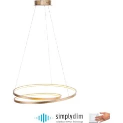 Paul Neuhaus LED-Pendelleuchte Roman Gold -Angebote Licht Welt Store 890055 2426 2