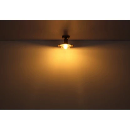 Globo Außenleuchte Linda 1-flammig Rostfarben 236 X 215 Mm 5 Globo Außenleuchte Linda 1-flammig Rostfarben 236 X 215 Mm – Bild 5