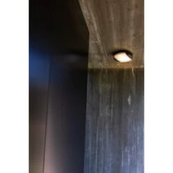 Lutec LED-Wand/Deckenleuchte Sweep 1.600 Lm Ø 26 X 5,9 Cm Anthrazit -Angebote Licht Welt Store 956173 3746 5