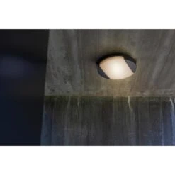 Lutec LED-Wand/Deckenleuchte Sweep 1.600 Lm Ø 26 X 5,9 Cm Anthrazit -Angebote Licht Welt Store 956173 3746 6