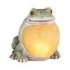 LED-Solarfigur Anilo Frosch